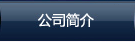 公司簡(jiǎn)介